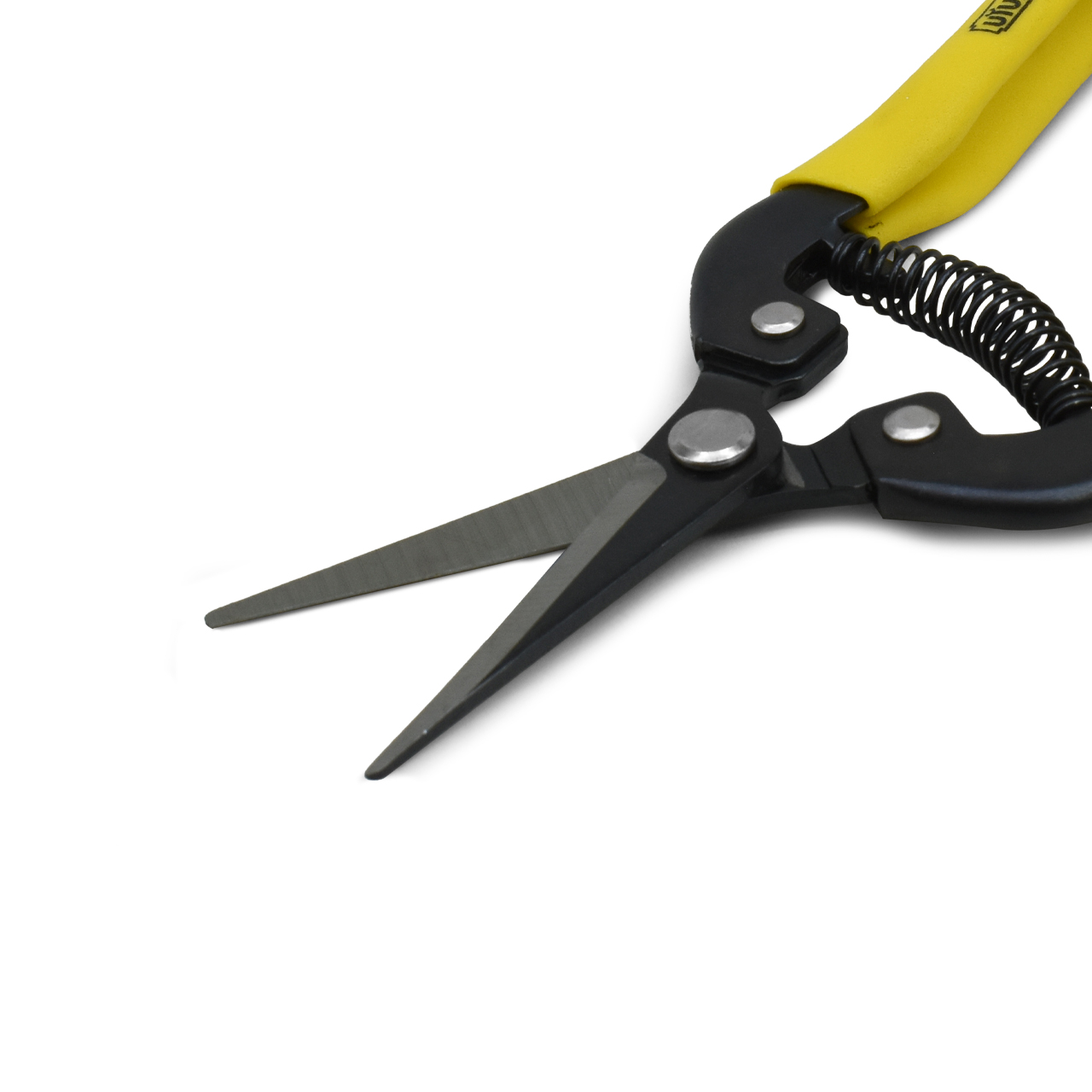 TIJERA 7.5¨ PARA CORTAR UVA UYUSTOOLS TJP375 - Imagen 2